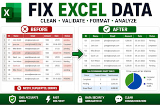 validate, clean and analyze your excel data professionally