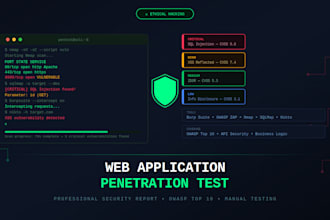 perform a web application penetration test and deliver a security report