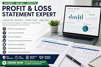 analyze finances, create profit focused reports