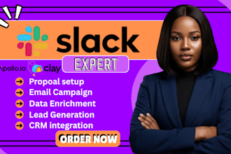 setup apollo, clay, integrate zapier, gmail, slack, activecampaign automation