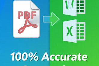 convert PDF to word excel accurately in 24hrs