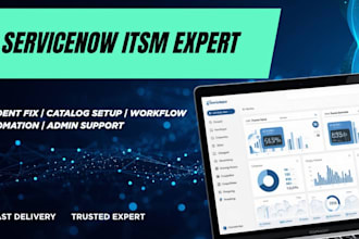 provide servicenow itsm development and admin support