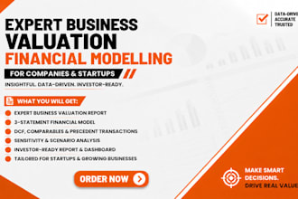 provide expert business valuation financial modelling company startup