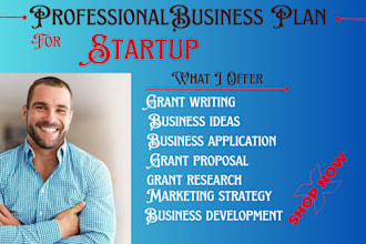 be your professional business plan writer for startups investors brand strategy
