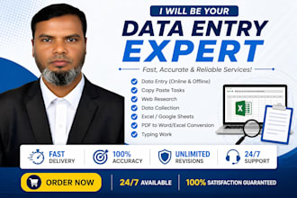 do professional data entry, web research