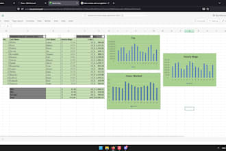 do professional microsoft excel tasks, formulas and data analysis