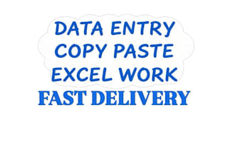 do data entry, copy paste, excel and typing work fast