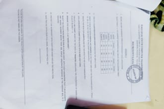 do fast and accurate data entry and excel typing work