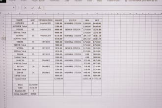 do fast and accurate data entry and excel typing work