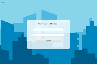 develop a custom desktop application or erp management system