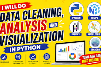 perform expert data cleaning and exploratory data analysis eda in python