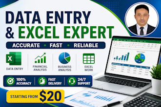 do accurate data entry, excel work and financial analysis