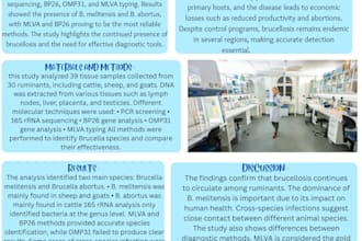 make presentations and posters