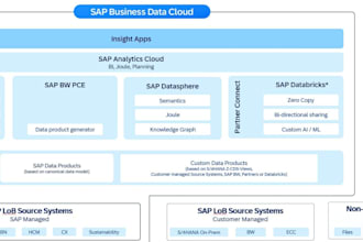 perform sap datasphere, sac and papm development with best quality