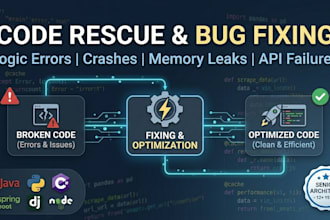 fix your software bugs and provide technical code rescue