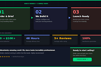 build a shopify dropshipping store