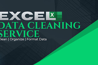 do excel data cleaning, formatting, sorting and analysis