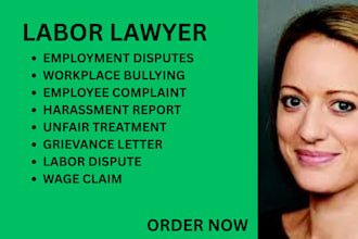 handle employment disputes, wages, workplace bullying, and grievance resolution