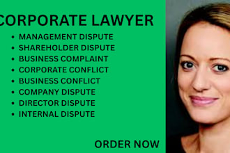 help with business disputes, director issues, and internal company conflicts