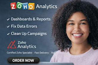 create zoho dashboards reports analytics fix error zoho modules campaign cleanup