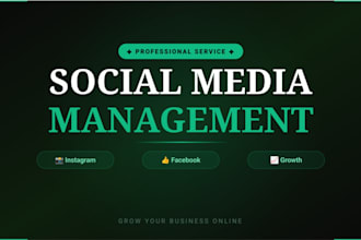manage your instagram and facebook page professionally