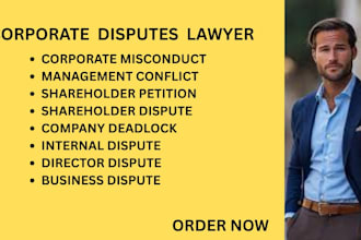 handle business disputes, company deadlock issues and corporate misconduct cases