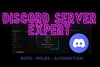 create and setup a professional discord server with bots and roles