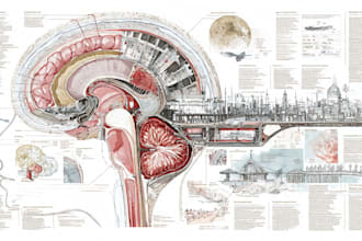 design scientific, medical, educational illustration for you