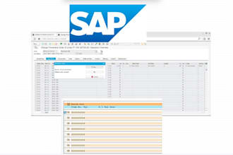 develop, fix, and optimize sap abap programs professionally