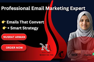 craft email templates and campaign strategies