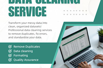 clean, format, remove duplicates, merge excel data
