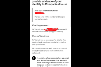 do companies house director identity verification