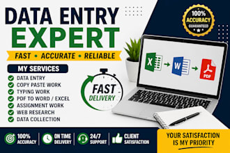do data entry, typing, copy paste and assignment work