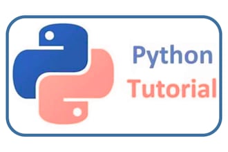 teach python programming for beginners with projects