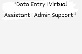 provide data entry admin support and virtual assistant services