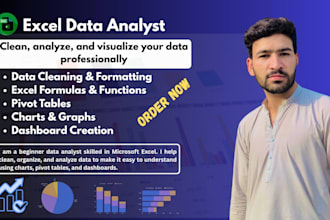 do excel data cleaning and analysis with dashboards
