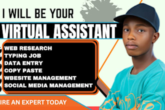 be your administrative secretary and personal virtual assistant