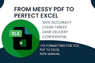 convert PDF to excel data entry with perfect accuracy in 24hrs
