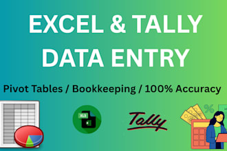 do accurate accounting data entry, in advanced excel and tally