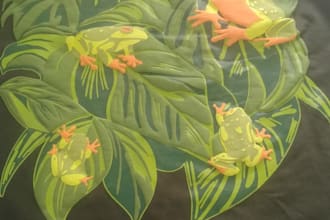 do professional screen printing artwork with dmi certified