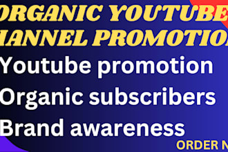 do organic youtube video promotion