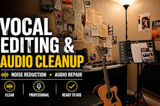 do professional vocal editing cleanup noise remover and audio enhancement