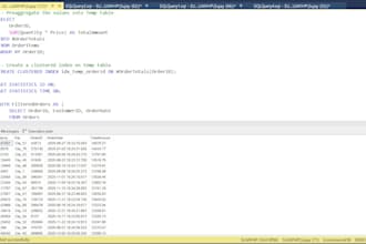 do sql server performance tuning and query optimization