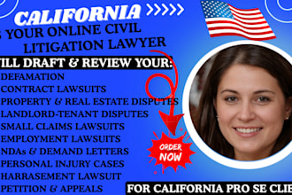be california civil lawyer for litigation, contract, property business lawsuits