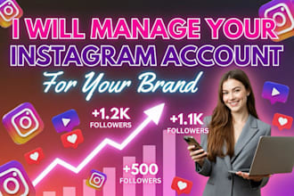 manage your instagram account for your brand