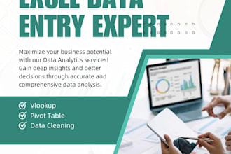 do excel data entry, vlookup and pivot table reports