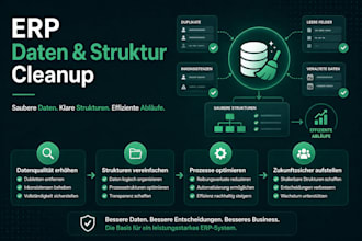 strukturiere und bereinige ihre erp daten und ablaufe