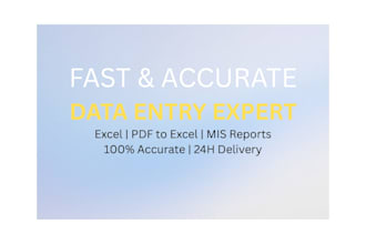 do fast and accurate data entry, excel work, and mis reporting