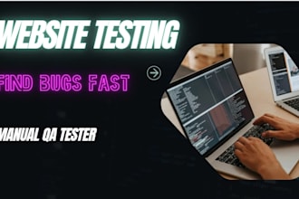 test your website and find bugs professionally