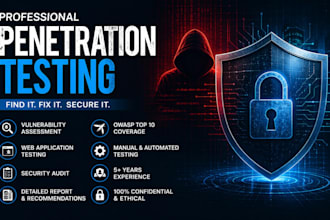 do professional penetration testing and vulnerability assessment for your websit